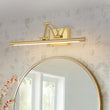 Load image into Gallery viewer, Adjustable Dimmable LED Linear Vanity Lamp Picture Light