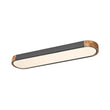 Load image into Gallery viewer, Dimmable Minimalist Long Oval Flush Mount LED Light