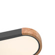 Load image into Gallery viewer, Dimmable Minimalist Long Oval Flush Mount LED Light