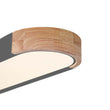 Load image into Gallery viewer, Dimmable Minimalist Long Oval Flush Mount LED Light