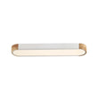 Load image into Gallery viewer, Dimmable Minimalist Long Oval Flush Mount LED Light