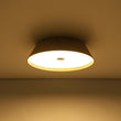 Load image into Gallery viewer, Farmhouse Wood Grain Dimmable LED Round Flush Mount Light