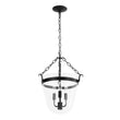 Load image into Gallery viewer, LightFixturesUSA - 3 - Light Clear Glass Bell Jar Lantern Pendant / Semi Flush - Ceiling Light - Black -
