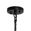 Load image into Gallery viewer, LightFixturesUSA - 8 - Light Seeded Glass Globe Round Sputnik Bubble Chandelier - Chandelier - Black -