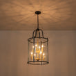Load image into Gallery viewer, LightFixturesUSA - Farmhouse Wide Clear Glass Cylinder Cage Pendant - Chandelier - Black+Brass -