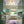 Bloom Shine Polished Opal Glass Bubble Semi Flush Mount
