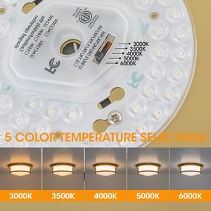 Brass Dimmable LED Round Frosted Glass Drum Ceiling Light