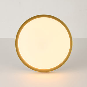 Brass Minimalist Round Opal Glass Dimmable LED Ceiling Light