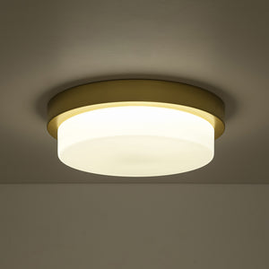 Brass Minimalist Round Opal Glass Dimmable LED Ceiling Light