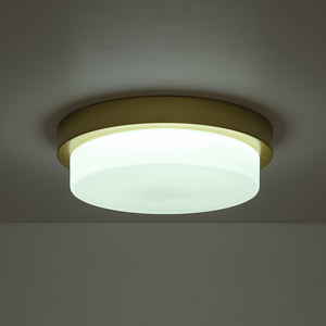 Brass Minimalist Round Opal Glass Dimmable LED Ceiling Light
