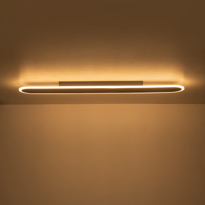 Contemporary Long Oval Warm Dimmable LED Ceiling Light