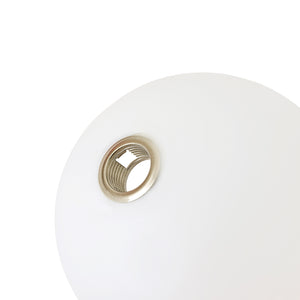 Funky Goose Arm 2-Light Offset Frosted Glass Globe Ceiling Fixture