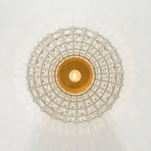 French Antique Brass Crystal Globe Cage Semi Flush Mount