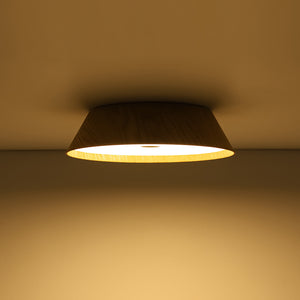 Farmhouse Wood Grain Dimmable LED Round Flush Mount Light