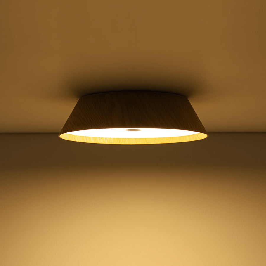 Farmhouse Wood Grain Dimmable LED Round Flush Mount Light