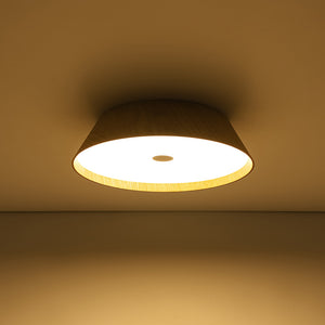 Farmhouse Wood Grain Dimmable LED Round Flush Mount Light