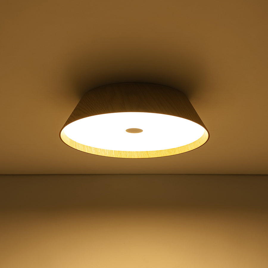 Farmhouse Wood Grain Dimmable LED Round Flush Mount Light