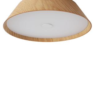 Farmhouse Wood Grain Dimmable LED Round Flush Mount Light