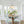 Scandinavian 1-Light Ribbed Glass Dome Kitchen Pendant