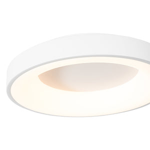 Scandinavian Dimmable LED Round Halo Flush Mount Light