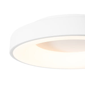 Scandinavian Dimmable LED Round Halo Flush Mount Light