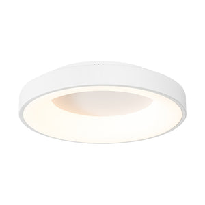 Scandinavian Dimmable LED Round Halo Flush Mount Light