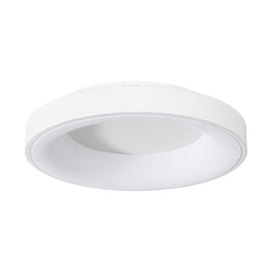 Scandinavian Dimmable LED Round Halo Flush Mount Light