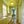 Scandinavian Lime Green Glass Round Drum Semi Flush Mount