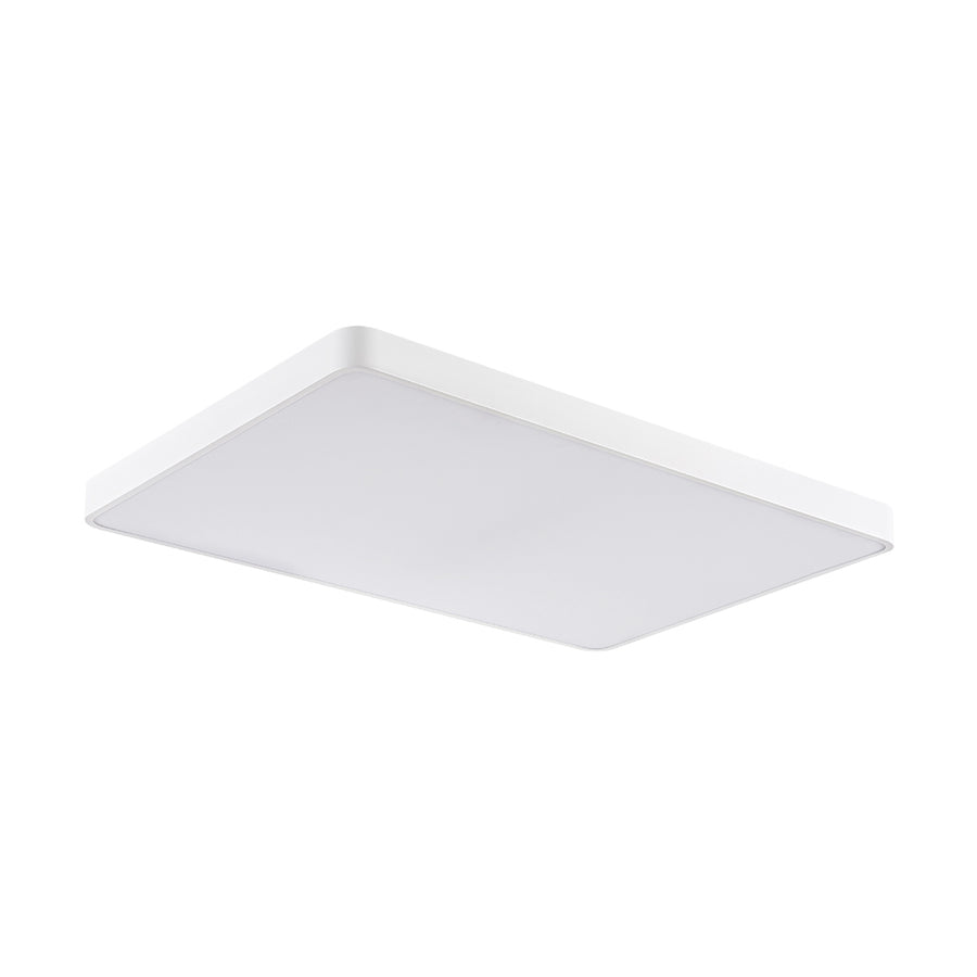 Minimalist Dimmable LED Rectangle Flush Mount Ceiling Light