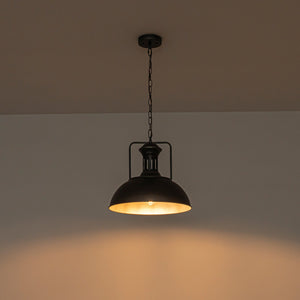 LightFixturesUSA-1-Light Industrial Dome Pendant Light-Pendant Light-Rusty-