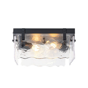 LightFixturesUSA - 2 - Light Clear Textured Glass Square Flush Mount - Ceiling Light - Black - 