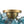 LightFixturesUSA - 3 - Light Brass Cluster Blue Glass Globe Bubble Ceiling Light - Ceiling Light - Blue Bubble - 