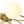 LightFixturesUSA - 5 - Light Bloom Ring Opal Glass Globe Semi Flush Mount - Ceiling Light - Brass - 