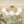 LightFixturesUSA-8-Light Opal Glass Bubble Sputnik Semi Flush Chandelier-Ceiling Light-Brass-