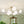 LightFixturesUSA - 8 - Light Opal Glass Bubble Sputnik Semi Flush Chandelier - Ceiling Light - Brass - 
