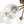 LightFixturesUSA - 8 - Light Ribbed Glass Bubble Sputnik Semi Flush Mount - Ceiling Light - Brass - 