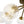 LightFixturesUSA - 8 - Light Ribbed Glass Bubble Sputnik Semi Flush Mount - Ceiling Light - Brass - 