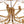 Load image into Gallery viewer, LightFixturesUSA - Art Deco Blossom Floral Cage Drum Lantern Pendant Light - Chandelier - Gold - 
