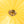 LightFixturesUSA-Art Deco Canary Yellow Glass Pleated Flower Semi Flush Mount-Ceiling Light-13.8 in-