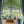Load image into Gallery viewer, LightFixturesUSA - Art Deco Color Cluster Glass Globe Bubble Chandelier - Chandelier - Green - 

