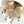 LightFixturesUSA - Bloom Brass 6 - Light Tiered Rippled Glass Round Semi Flush Mount - Ceiling Light - 25 in - 