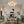 Load image into Gallery viewer, LightFixturesUSA - Bloom Brass Frosted Glass Bubble Semi Flush Chandelier - Chandelier - Black/11 - Lt - 
