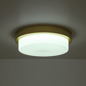 LightFixturesUSA-Brass Minimalist Round Opal Glass Dimmable LED Ceiling Light-Ceiling Light-11.8 in-