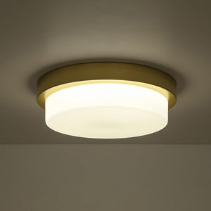 LightFixturesUSA-Brass Minimalist Round Opal Glass Dimmable LED Ceiling Light-Ceiling Light-11.8 in-