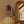 LightFixturesUSA - Copper Adjustable Head Cone Wall Sconce Ceiling Light - Wall Sconce - 1 Pack - 