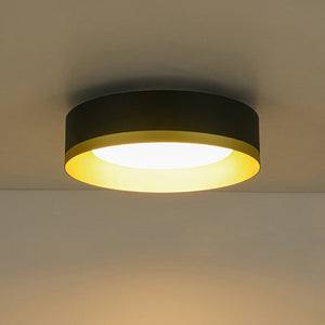 LightFixturesUSA - Dimmable LED Black Gold Iron Milky Glass Drum Flush Mount - Ceiling Light - 13.8 in - 