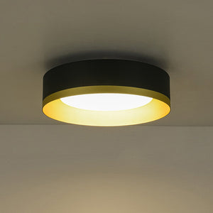 LightFixturesUSA - Dimmable LED Black Gold Iron Milky Glass Drum Flush Mount - Ceiling Light - 13.8 in - 