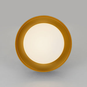 LightFixturesUSA - Dimmable LED Black Iron Milky Glass Round Drum Ceiling Light - Ceiling Light - 13.8 in - 