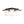 LightFixturesUSA - Dimmable LED Ribbed Glass 4 - Light Square Semi Flush Mount - Ceiling Light - 13.8 in - 