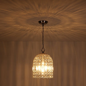 LightFixturesUSA - French Antique Brass Crystal Cage Chandelier - Chandelier - S/Nickel - 
